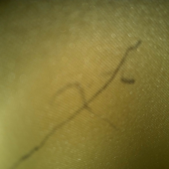 Coach bag - Picture 8 of 9